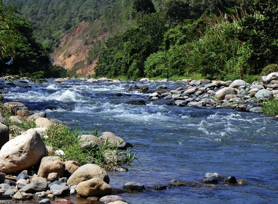 Un río entre piedras redondeadas y riberas verdes