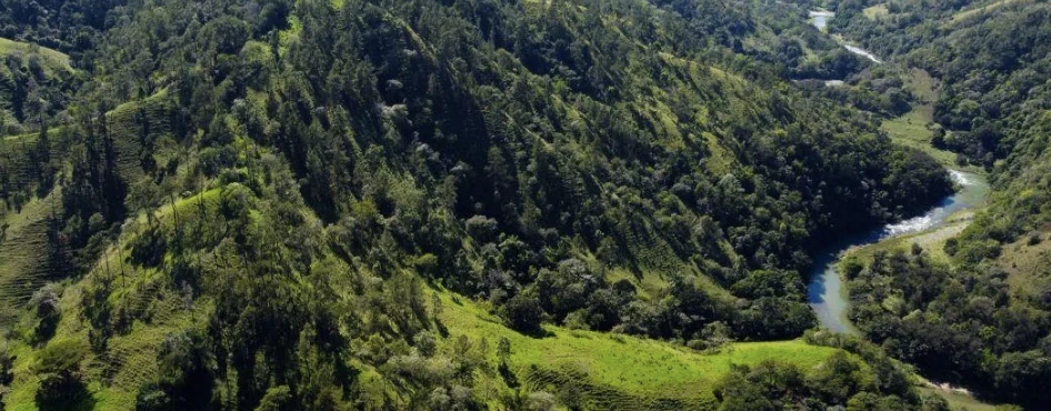 Un río serpenteante visto desde arriba entre colinas verdes y arboladas