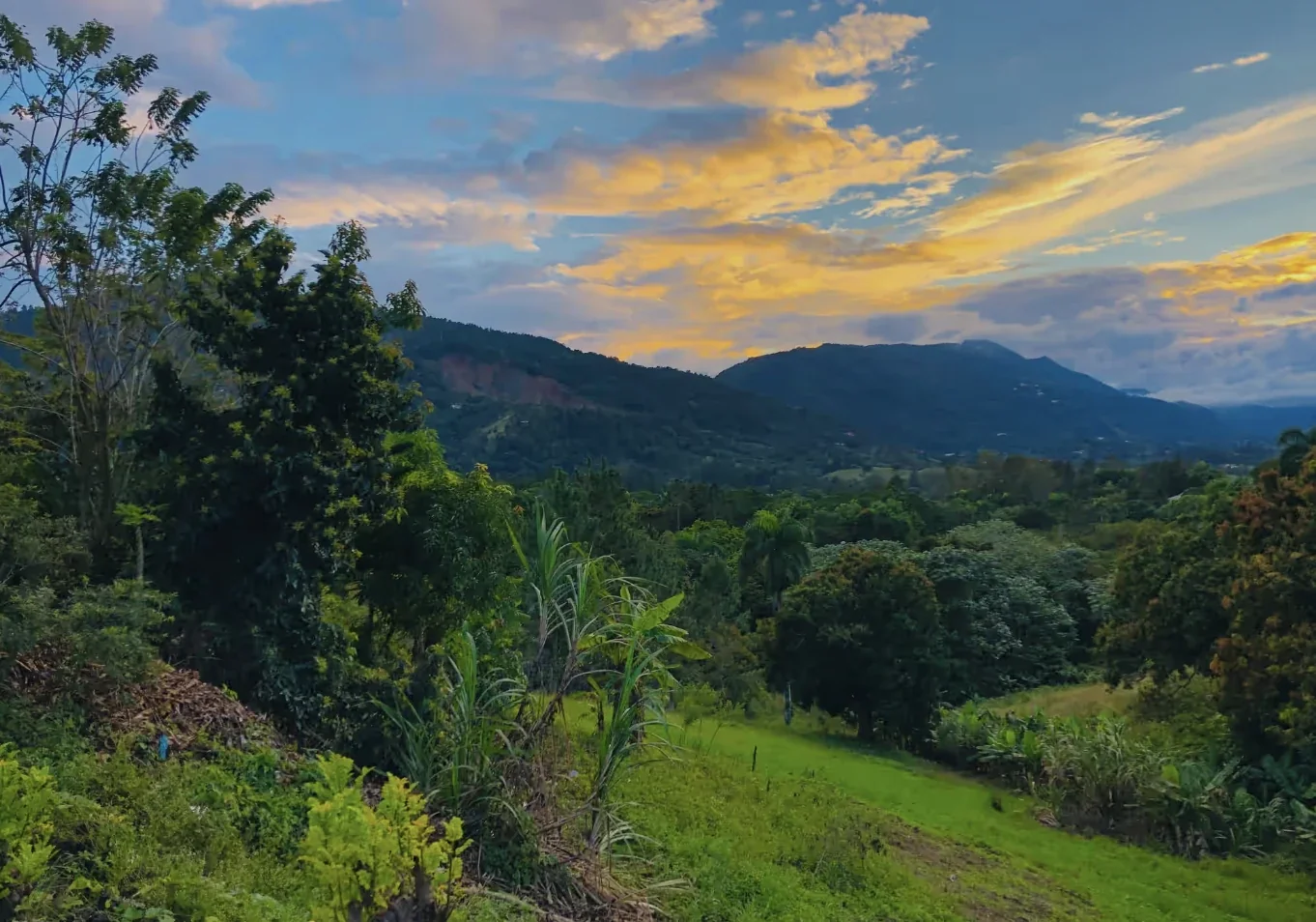 Real photograph of the green Jarabacoa valley and its wooded hills